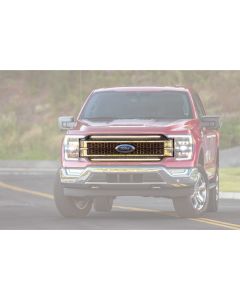 Ford F-150 (2021+) XBG LED DRL Grille