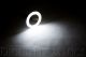 HD LED Cool White Halo Rings (pair)