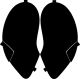 Porsche 996 Carrera (99-02) Headlight Covers